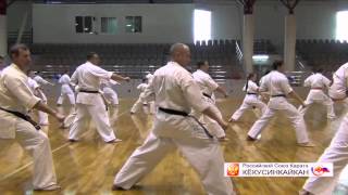 Кекусинкай каратэ. Зимний лагерь 2013. Киров (1)