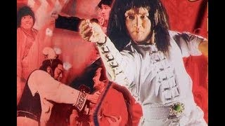 Кунг-фу значит кулаки, удары и мечи  (боевые искусства 1978 год)