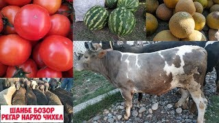 шанбе бозор регар нархи бука  гусфандхо арзон  турсунзода 15.06.2019