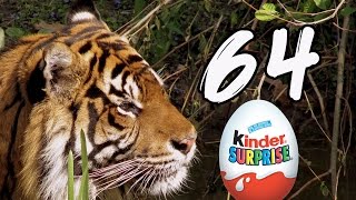 Открываем киндеры 64 яйца серии Animal Planet (животные, распаковка)