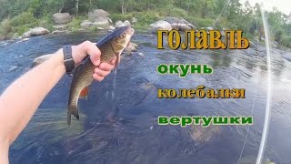 Ловля голавля на вертушки и колебалки+ окунь