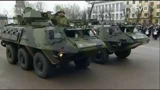 Эстония. Нарва. Военный парад в честь Дня Независимости Эстонии. 24.02.15