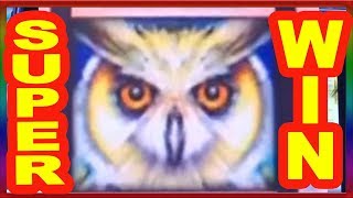** SUPER BIG WIN ** TIMBER WOLF n others ** SLOT LOVER **