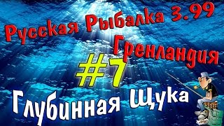 Русская рыбалка 3.99 (#7) Ловим глубинную щуку.