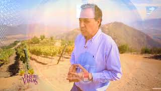 Luis Felipe Edwards | Entre Viñas - T1E5