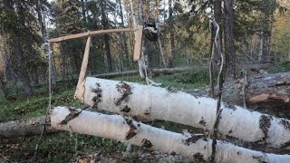 Старинная ловушка на пушнину, краткий обзор. trap for furs,
