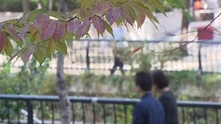 中 스모그 북한에만 영향…전국 미세먼지 '보통' / YTN 사이언스
