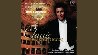 Concerto for Orchestra Sz. 116, BB 127: Concerto for Orchestra: I. Introduzione - Andante non...