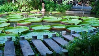 Zen Meditation Music, Relaxing Music, Music for Stress Relief, Soft Music, Background Music, ☯2405