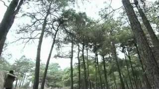 【MV】Linh Châu-Tình Yêu Phục Hưng