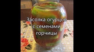 Засолка огурцов с семенами горчицы