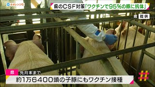 ワクチン接種で９５％の豚に抗体　ＣＳＦ＝豚コレラ　県が対策会議