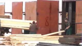 Sunrise Ltd - wood export Ukraine | Timber Saw logs of pine