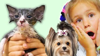 24 ЧАСА мои домашние ПИТОМЦЫ управляют МОЕЙ ЖИЗНЬЮ Яна Котенок Собака и Кот СБОРНИК Серии