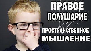 Развиваем правое полушарие и пространственное мышление