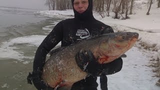 Толстолоб 28 5 кг , сом 50 кг , щука 10 5 кг подводная охота на Волге Нарезка лучших моментов 2
