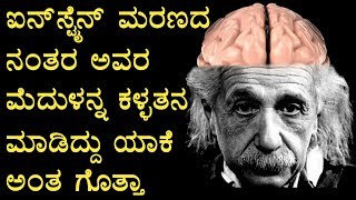 ಐನ್‌ಸ್ಟೈನ್ ಸತ್ತ ನಂತರ ಅವರ ಮೆದುಳನ್ನೇ ಕದ್ದಿದ್ದರು... ಯಾಕೆ ಗೊತ್ತಾ | Albert Einstein Brain Mystery