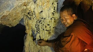 เชิญเหล็กไหลโกฎิปีครั้งยิ่งใหญ่ โดยพระอาจารย์ สมพร สมวโร 7 ส.ค. 57