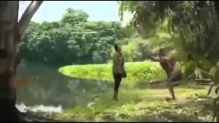 Crocodile eat Girl