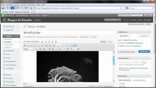 Bloggen für Künster - Artikel erfassen bei wordpress.com