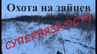 Охота на зайцев - СУПЕРВЯЗКОСТЬ