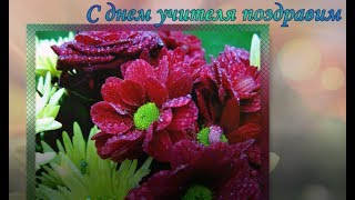 С днем учителя !
