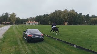 Przetestował samochód w rywalizacji z żywym koniem [Automaniak]