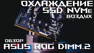 Охлаждение SSD NVMe (Воздух) и Обзор ASUS ROG DIMM.2