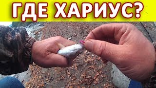 Рыбалка на ХАРИУСА. Когда же заработает ТИРОЛЬКА.