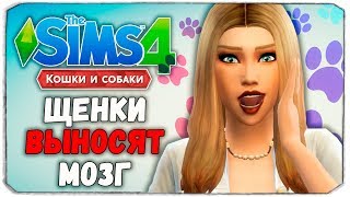 100 ПИТОМЦЕВ - ЩЕНКИ ПРОТИВ ДАШИ - The Sims 4 "Кошки и Собаки" ЧЕЛЛЕНДЖ