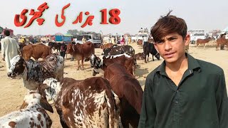 Ludan mandi k fresh price in pakistan