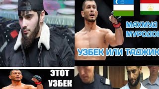 Махмуд Мурадов протов таджик Кто такой таджик и узбек