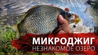 МИКРОДЖИГ. НЕЗНАКОМОЕ ОЗЕРО