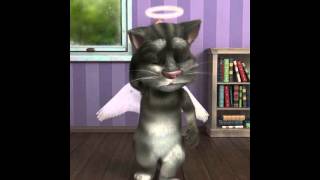 Talking Tom Angel