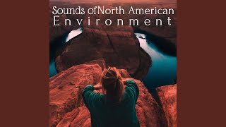 Sounds of North American Environment