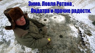 Зима. Ловля Ротана, Ондатра и прочие радости