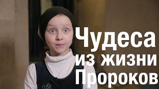 Мавлид ан-Наби 2015: "Чудеса из жизни Пророков"