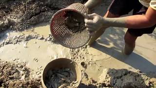 Unique Fishing - Unbelievable Man Catching Catfish In Dry Try Season - Best Fishing Videos