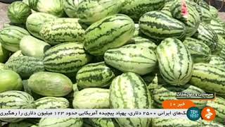 Iran Melon & Watermelon harvest, Summer 1398, Hirmand county برداشت خربزه و هندوانه هيرمند