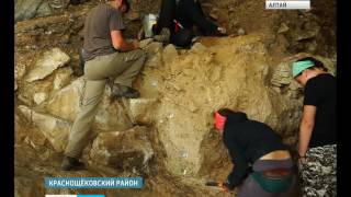 Археологи нашли уникальные находки в Чагырской пещере Краснощёковского района