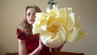 Пион из изолона? Пробный эксперимент