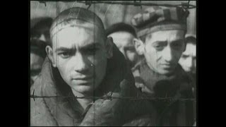 Auschwitz survivor remembers horrors of camp