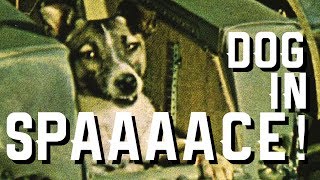 Laika’s Mission Changed American Spaceflight