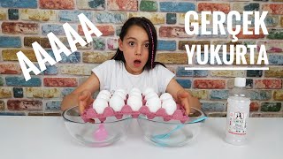 Gerçek Yumurtalardan Ne Çıkarsa Slime Cahallenge