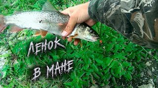Рыбалка на Ленка спиннингом на блесну. Красноярский край