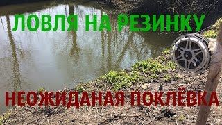 ЛОВЛЯ РЫБЫ НА РЕЗИНКУ | НЕОЖИДАНАЯ ПОКЛЁВКА