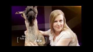 ТВК. Zoo эксперт Виктория Пименова