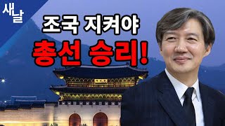 조국 지켜야 총선 승리 #조국힘내세요 #새날 #새가날아든다