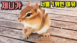 제니가 서열1위인 이유