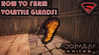 CONAN EXILES HOW TO FARM VOLATILE GLANDS AND WHAT THEY CAN BE USED FOR